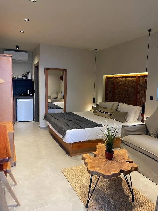 Apartment Mola Papaya Studios Mola Kalyva