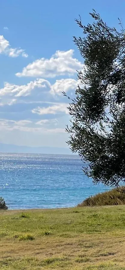 Mola Papaya Studios Mola Kalyva 0*,  Grecia